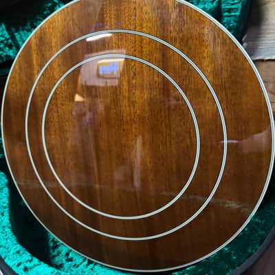 Epiphone Mastertone Classic Banjo image 11