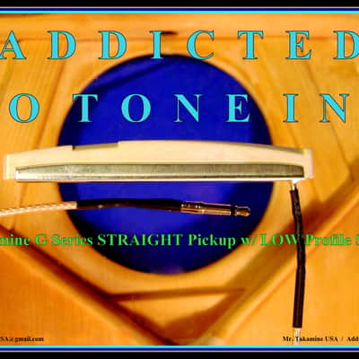 Takamine G Series CP-100 Pickup Assembly with SHIM SET / TGP0897 image 1