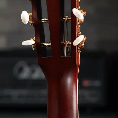 Santa Cruz Style 1 Acoustic Guitar - Adirondack/Mahogany with Hardshell Case image 6