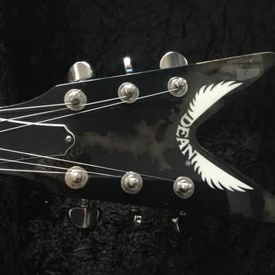 Dimebag Dean USA ML Rust From Hell image 4