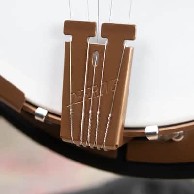 Deering Goodtime Two 5-String with Resonator Banjo image 16