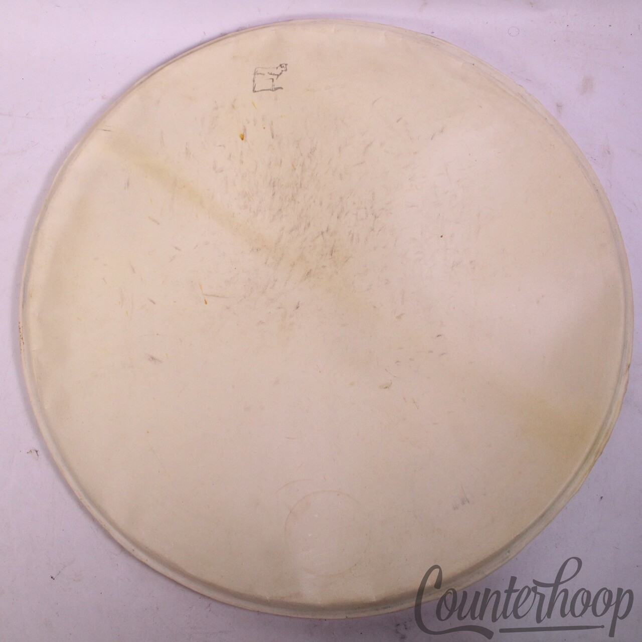 Ludwig & Ludwig 22"Calf Skin Bass Drum Head Batter/Resonant Cow Logo Vintage 40s — main photograph