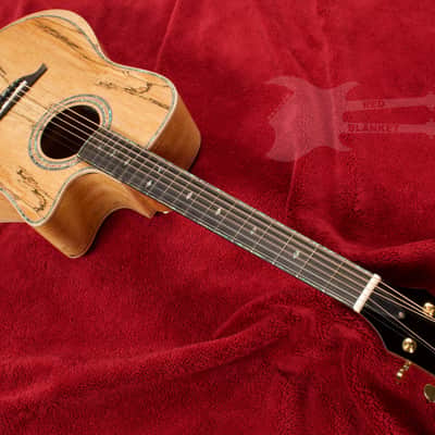 B.C. Rich Acoustic Cutaway 6 -String - Spalted Maple - W/Matrix Infinity VT & Hardcase image 3