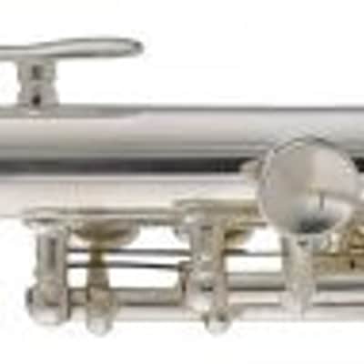 Stagg C Piccolo-flute With Case Silver Plated Split E Mechanism Offset G image 2