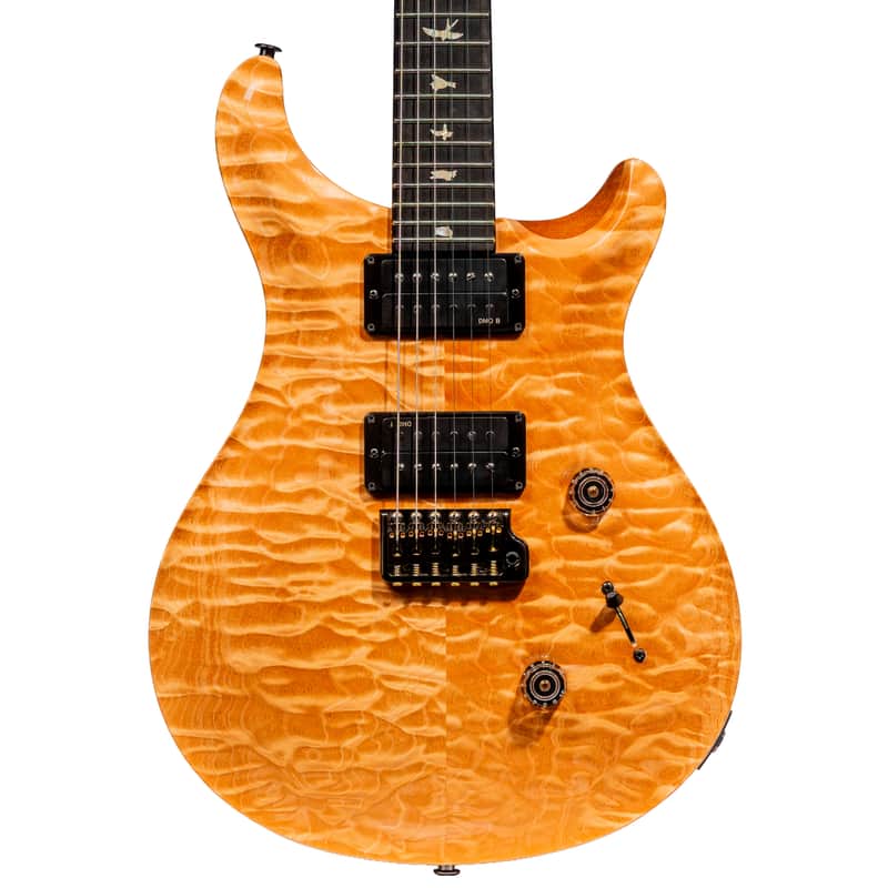 PRS Custom 24 Artist Package | Reverb