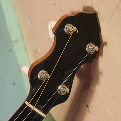 1920s Vega William Schmick Lyric Resonator Tenor Banjo (VIDEO! Fresh Work, Ready) image 3