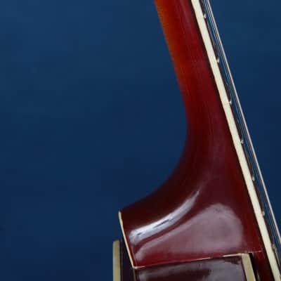 Silvertone 1425 Aristocrat 1959-61 / The End of an Era / June Special!!! image 13