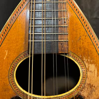 American conservatory Lyon & Healy Bowl Back mandolin - Early 1900s  - Brazilian Rosewood - All Org. - Great Player - Ships FREE!!! image 6