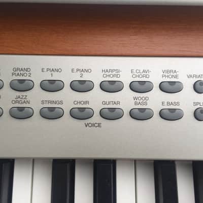 Yamaha P-120 Digital Professional stage piano with sheet music stand, X-brace stand, sustain, ac image 10