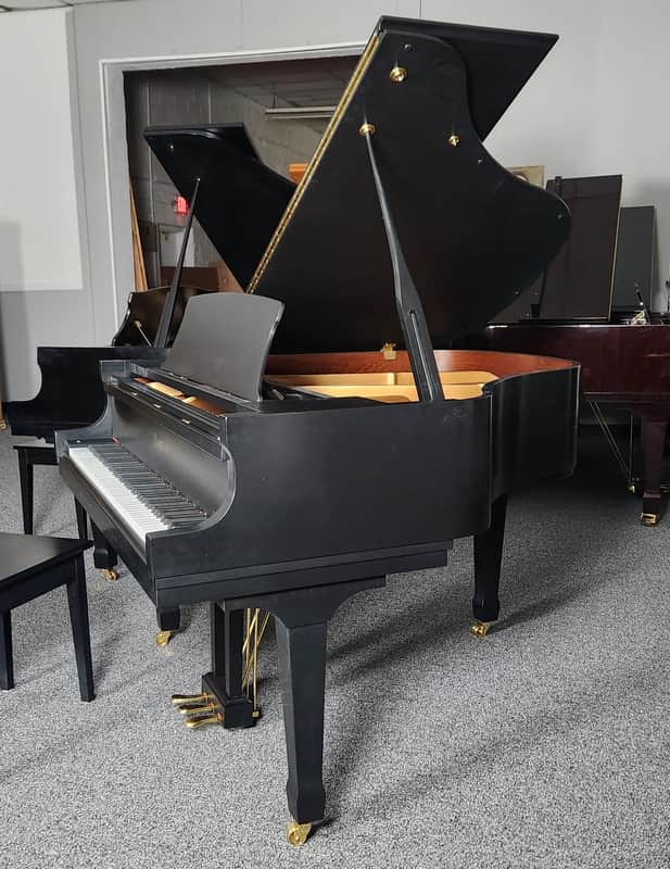 Essex EGP 155 in Satin Ebony 5'1