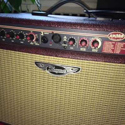 Traynor AM100T Acoustic Master 100-Watt 2x6.5" Tilt-Back Acoustic Guitar Combo with Tweeter