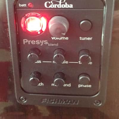 Cordoba Fusion 14 Rose w/ Solid Rosewood Top - Fishman Presys Preamp - Tuner & Premium Gigbag #25295 image 8