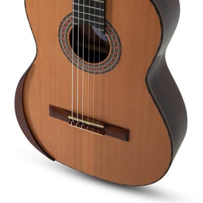 Manuel Rodriguez Magistral F-C Cedar/Indian Rosewood 4/4 Armrest (F-C) (Manuel Rodriguez Magistral F-C Cedar/Ind. Rosewood 4/4 Armrest (F-C) image 3