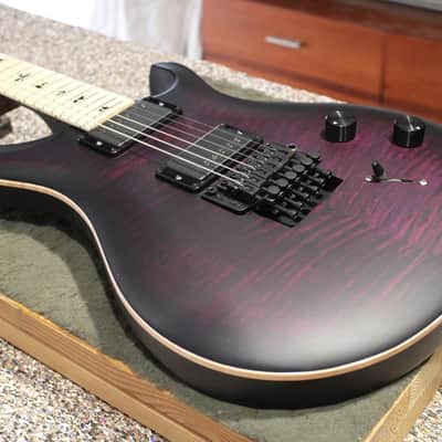 PRS Dustie Waring Signature CE 24 Floyd - Waring Burst image 7