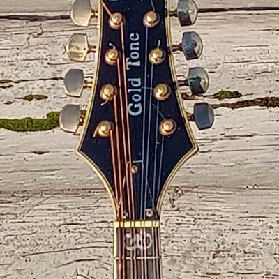 Gold Tone GM-110 Rigel Mandolin 2010s - Tobacco Sunburst image 2