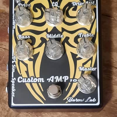 Baroni-Lab Custom Hand-Made Italian 100w Guitar Amp image 13