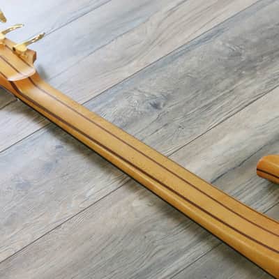 Awesome! Bill Moll Custom 6-String Electric Bass Guitar + Coffin Case image 17