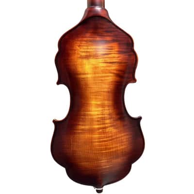 Unique design,4/4 Violin without rib, Carved dragon Scroll No rib Violin image 5
