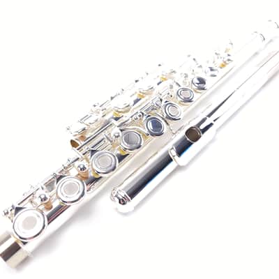 Di Zhao DZ 401 E Flute Open Hole B Foot Split E Silver Lip Intermediate NEW image 3