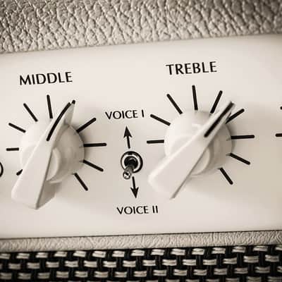 Victory Amps The Duchess V40 Deluxe Head image 2