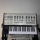 Oberheim 2022 Two Voice Pro Special Edition #4/10