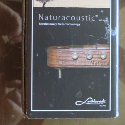 Lashbrook Handmade Custom Guitar Inspired by Jerry Garcia's Cripe Guitars with Naturacoustic Pickup image 14