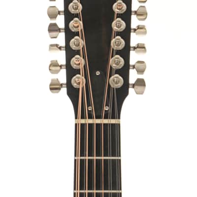 Taylor 556ce Guitar #1101226030 image 2