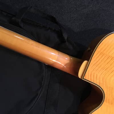No.122023 Epiphone Emperor NAT EX image 14