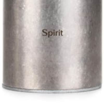 Aston Microphones Spirit Large-diaphragm Condenser Microphone image 2