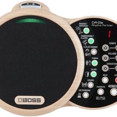 Boss DR-01S Rhythm Partner image 7