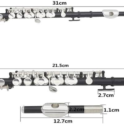 Key of C Piccolo with PU Leather Box, Nickel-plated Piccolo Flute Instrument with Hard Protective Case Cleaning Rod Cloth Screwdriver for Beginners Students (Black) image 3