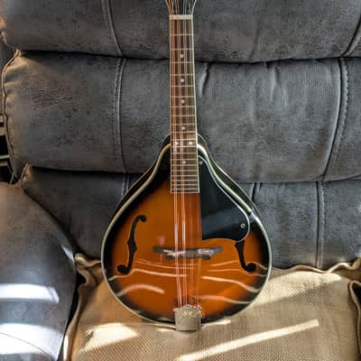 Eleca EMA-1 Mandolin...w/ New Gig Bag and Accessories image 4