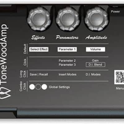 HONZ Tech ToneWood Amp for Acoustic Guitar 2010s - Black image 2