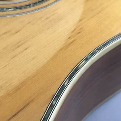 Vintage MIJ Canyon T40 Dreadnought Acoustic Guitar 1970s Natural Solid Spruce Top Martin D40 Style Axe image 8