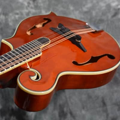 Michael Kelly Legacy Plus F Style Mandolin w Deluxe Hardshell Case & FAST Shipping image 6