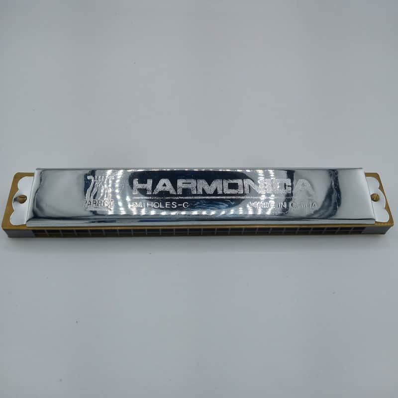 Parrot 24 Holes Key of C Harmonica image 1