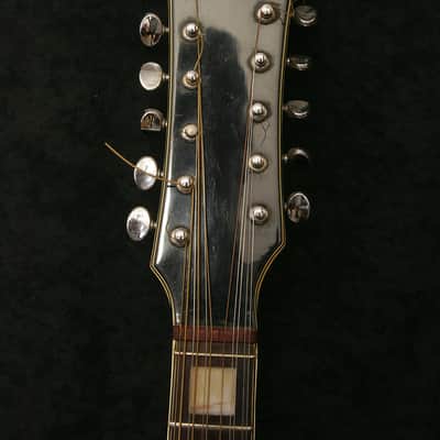 Royal Artist Bruno 1960's Sunburst 12 string image 5