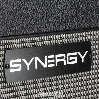 Synergy SYN-20IR 20-watt  1 x 12-inch Combo Amplifier - No Module Included - Black (SYN-20IRCd2) image 2
