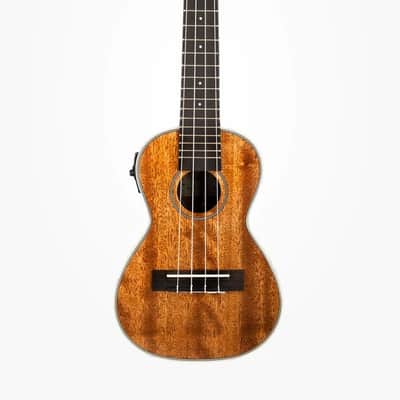 Kala KA-CGE Gloss Mahogany Concert Electro Ukulele image 1