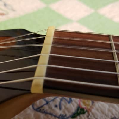 Fender CDN 240S CE Natural image 11