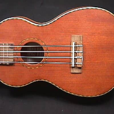 A Solid Wood  Fancy Concert Ukulele in a Case & Ready to Play   3 U image 2