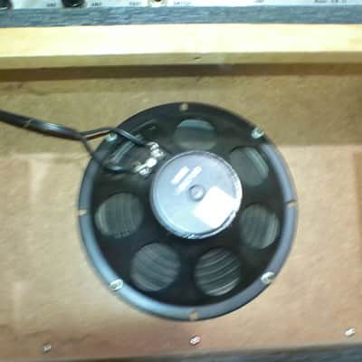 Danelectro DM10 Combo Tube Amp image 4