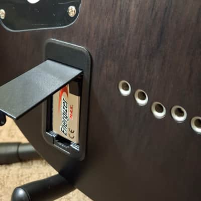 Schecter C-1 Platinum image 5