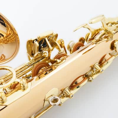 Yanagisawa A-WO2 [AWO2] Professional Alto Saxophone image 17
