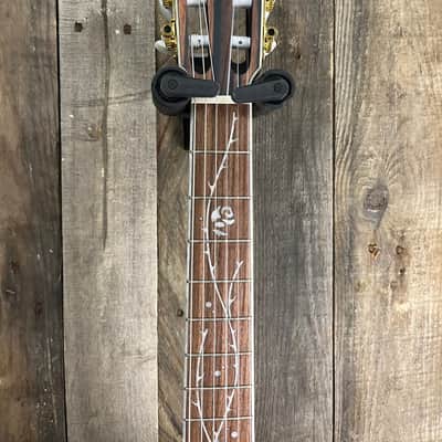 TOD10N Ibanez image 2