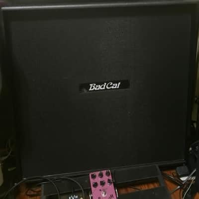 Bad Cat 4x12 Extension Cabinet Closed Back image 3