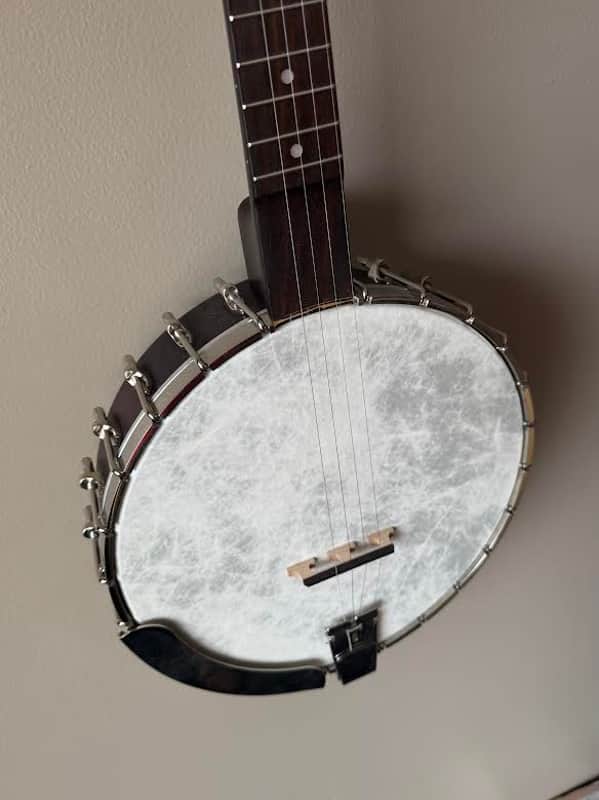 Recording King RK-OT25-BR MADISON Open-Back Old-Time BANJO image 1