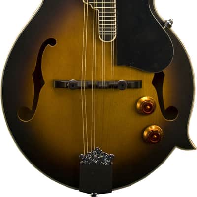 Washburn M3E F-Style Mandolin Pack image 1