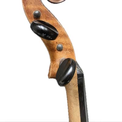 Old French violin Maggini model Late 19th century  - Golden oil varnish image 5