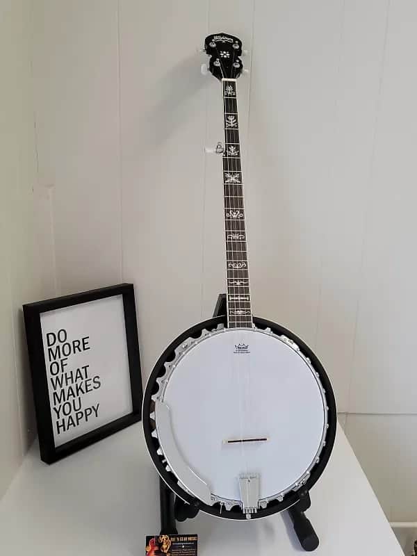 Washburn B10-A - Americana Series 5 String Resonator Banjo w/ Floral-Style Inlays - B-10A image 1